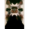 Original Surreal Art: `Mothman Enigma` by Ras Steyn - Premium Canvas - A3 Certified 2/2
