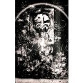 Original Art by Ras Steyn [MT] `Arachnid Nocturne` - Gloss Canvas - 593MM x 928MM Single Edition*