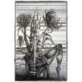 Original Art by SA Surrealist Ras Steyn Lead Drawing `Insectness` as a psychological disorder` SALE!