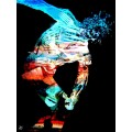 `Disco Bolos` by SA Artist Ras Steyn - Canvas Print Triptych (Trio)