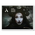 ONE SMALL SEED Magazine - Issue 23 - With OSS Local Artists CD Vol.01 - Condition: B+