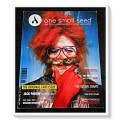 ONE SMALL SEED MAGAZINE - ISSUE 18 - Pop Culture South Africa - Condition: B+