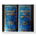 Charles Dickens & Jules Verne - Art Type Classics - Both Hardcover - Condition: B+ (R100 for Both)