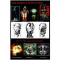 Art: Title: `Fallen & Unfallen` by Human-Centred Artist Ras Steyn, Single Edition 594mm by 420m 1/1