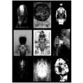 Art: Title: `Fallen & Unfallen` by Human-Centred Artist Ras Steyn, Single Edition 594mm by 420m 1/1