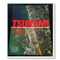TSUNAMI: The Worlds Most Terrifying Natural Disaster - Large Gloss Format - Condition: B+