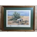 LIMITED EDITION DAVID SHEPHERD O.B.E  SHIBULA SERIES SIGNED, FRAMED & NUMBERED 714/850 FRAMED PRINT.