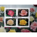 CISKEI Cover - Hybrid Roses Miniature Sheet 1994 //Flowers