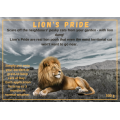 The original - Lion's Pride (Protect your garden) (2 available)