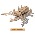 Wooden 3D Beetle Puzzle