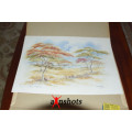WOW. Scenic Zimbabwe 6 Colour Prints - art by Chrystal Wynn - Signed by artist