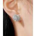 Sparkling Rose Shape Silver Colour Stainless Steel Rhinestone Earrings