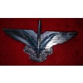 CISKEI ( SWORD OF THE NATION ) SPECIAL FORCES WINGS