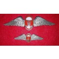 SADF PARATROOPER FREEFALL INSRUCTOR FULL SIZE & MESS DRESS WINGS