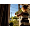 ViewProtect Clear Window Guards - 6 Pack 1000mm - Child Protection