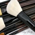 10 Pc Deep Wood Makeup Brush Set