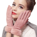 Luxury Winter Warm Fleece-lined Thick Suede Women`s Gloves in Three Different Styles and Exquisite C