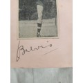 Hansie Brewis,Springbok  no 268flyhalf, original autograph