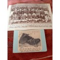 Okey Geffin,original autograph,with photo of boot that won match agains All Blacks