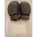 Laurie Stevens,1932 Olympic gold medal winner,boxing gloves and original autograph