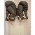 Laurie Stevens,1932 Olympic gold medal winner,boxing gloves and original autograph