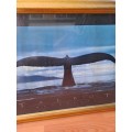 Talbot Megaptera,Whales tail,framed