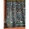 Springbok  2007 W Cup squad poster by Sasol