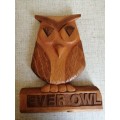 Lovely Wooden Owl Wall Hanging for the Owl collectors