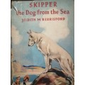 Skipper the dog from the sea by Judith M Berrisford