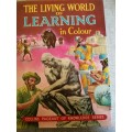 The living world of learning