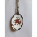 Collectors teaspoon from Wales