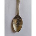 Collectors teaspoon from Louisiana