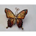 Most beautiful butterfly brooch