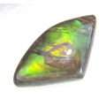 Ammolite~Rare 3.99 ct Brilliant Green/yellow/red Natural Gem Ammolite/Ammonite Gemstone
