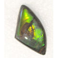 Ammolite~Rare 3.99 ct Brilliant Green/yellow/red Natural Gem Ammolite/Ammonite Gemstone
