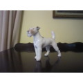 STUNNING BING & GROENDAAL WIRE HAIRED TERRIER NO 2072  ITEM NO 2099