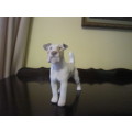 STUNNING BING & GROENDAAL WIRE HAIRED TERRIER NO 2072  ITEM NO 2099