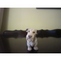 BING & GROENDAAL DENMARK WIRE HAIRED TERRIER  NO 2085  ITEM NO 2103