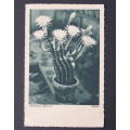 Vintage German POSTCARD - Flowering Cactus