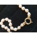 Individually knotted cultured drop pearls with 9ct gold large bolt ring clasp