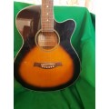Vocca acoustic electric 6 string guitar