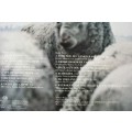 SIAS REINECKE -- KLEIN KAROO -- VINYL LP RECORD