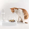 2 in 1 Pet Dog and Cat Food Bowl Automatic Water Dispenser Dual Drinking Bowl Raise Bracket