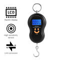 Portable Electronic Hook Scale 50kg/10g Digital Lcd Display Weight