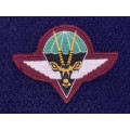 SWA Paratroop Embroidered Beret Badge - Last Issue