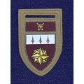 1 Special Forces Regiment Tupper Flash with Higher Formation Bar - 1995 to 2000