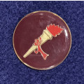 SADF Parachute Regiment Pathfinder badge with pins intact