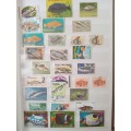 IDEAL ALBUM 8 DOUBE PAGES MOSTLY FISH RELATED FDCS AND STAMPS ALBUM INCLUDED