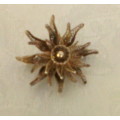 Vintage star shaped filigree brooch