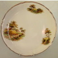 Vintage Alfred Meakin Wonderful display plate
